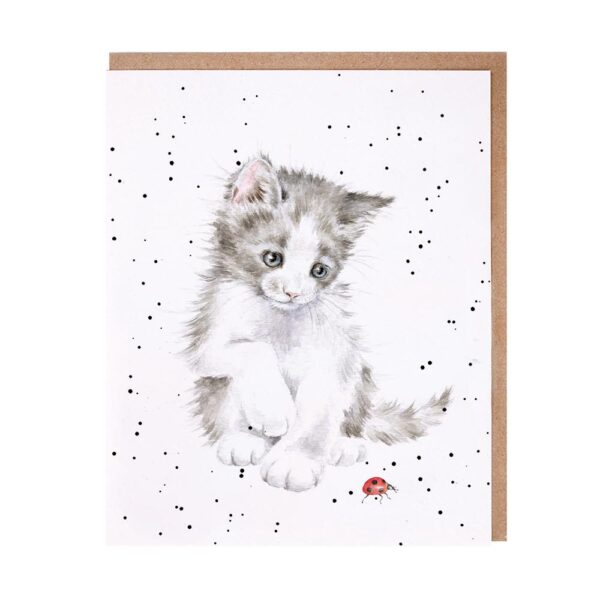 Biglietto auguri con gattino e coccinella