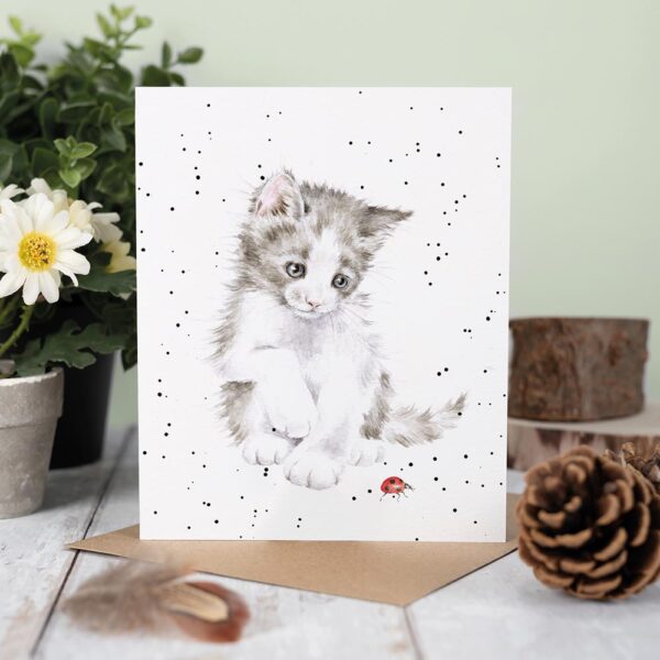 Biglietto auguri con gattino e coccinella, ambientato