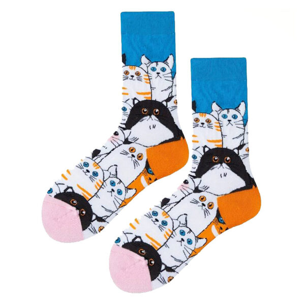 Calzini multicolore con gatti e gattini, 2