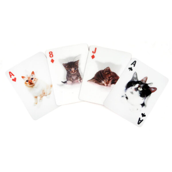 Carte da gioco con immagini di gatti 3D