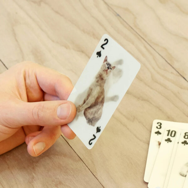 Carte da gioco con immagini di gatti 3D, ambientato 02