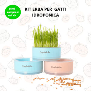 Kit Erba per Gatti BIO idroponica - Condomicio