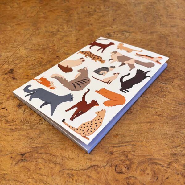 Quaderno A5 con gattini colorati
