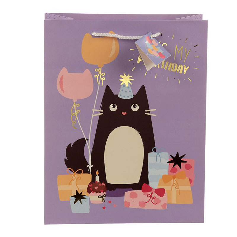 Sacchetto regalo Compleanno gatto Feline Fine Palloncini