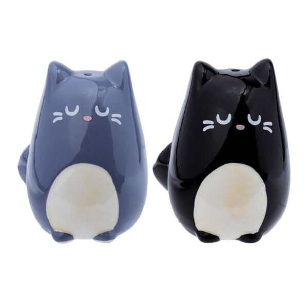 Set sale e pepe gattini nero e grigio