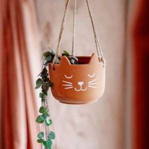 Vasetto terracotta a sospensione musetto di gatto, ambientato
