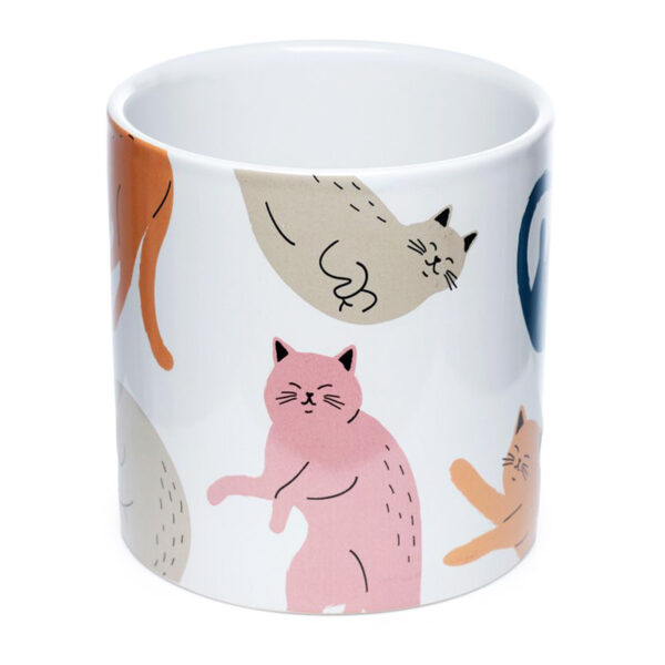 Vaso per piante con gatti colorati, fronte